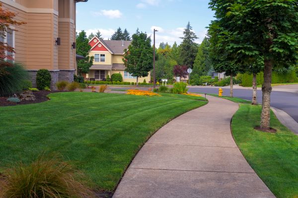 Cost of Sidewalk Patching in Elizabethtown
